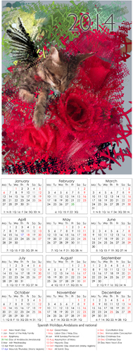 2014 Calendar  Spaindarkangel500